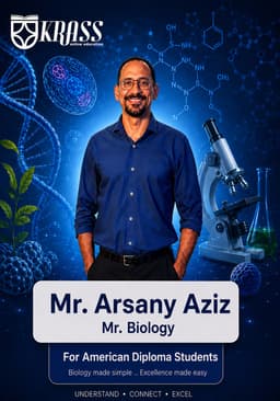 Arsany Aziz